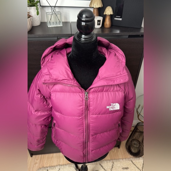 The North Face Hydrenalite Hooded Down Jacket - Picture 5 of 16